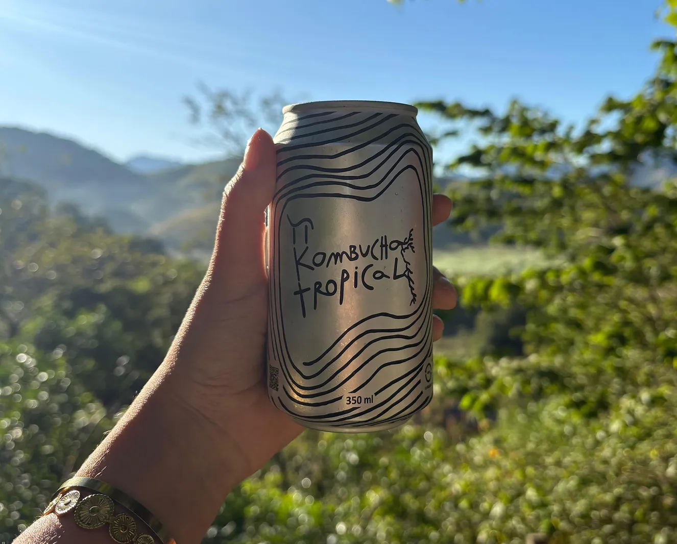 Lata da Pi Kombucha Tropical erguida diante da paisagem da Mata Atlântica