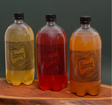 Pi Kombucha Tropical: Garrafa Pet (1L)