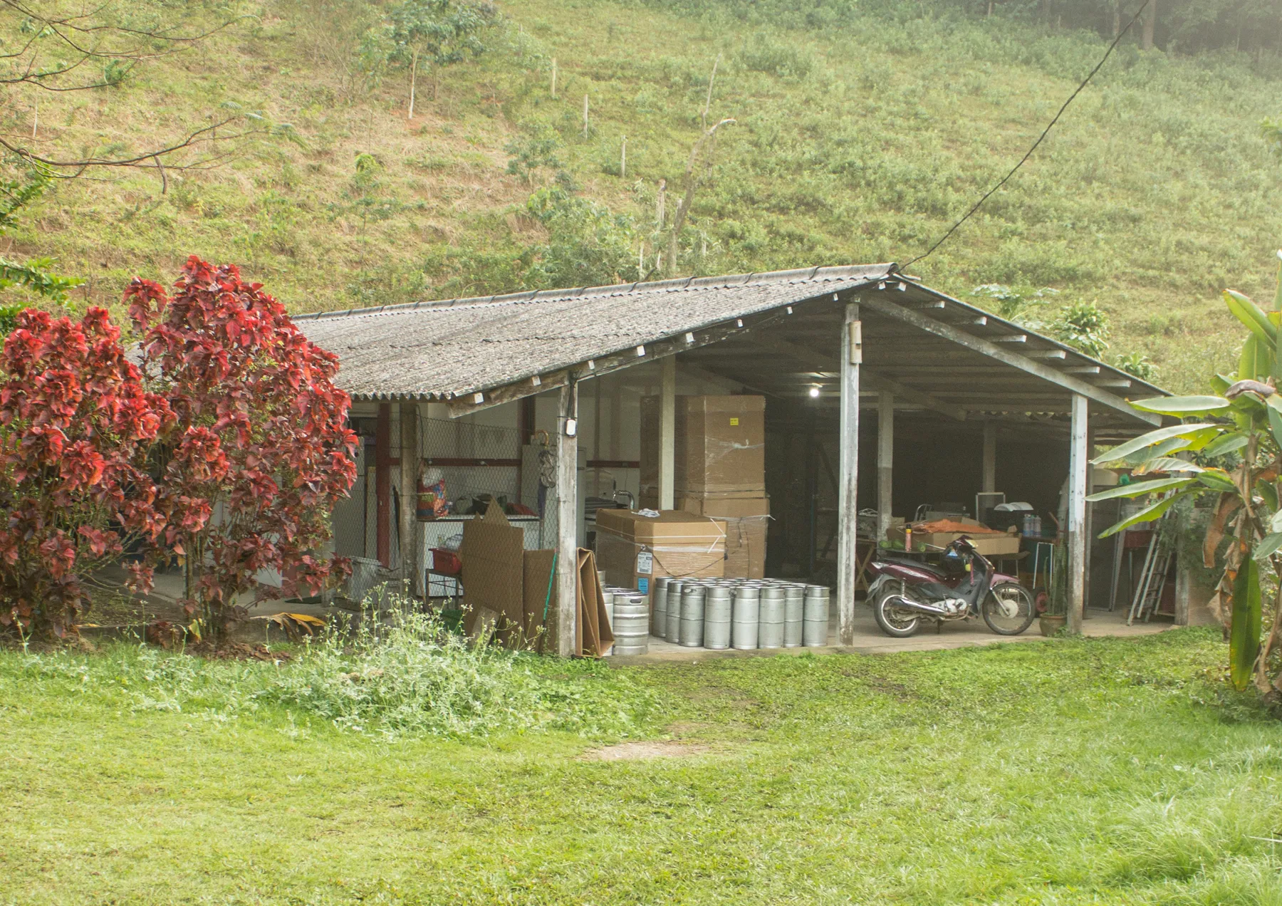 Sítio da Pi Kombucha Tropical em Cachoeiras de Macacu, cercado pela Mata Atlântica